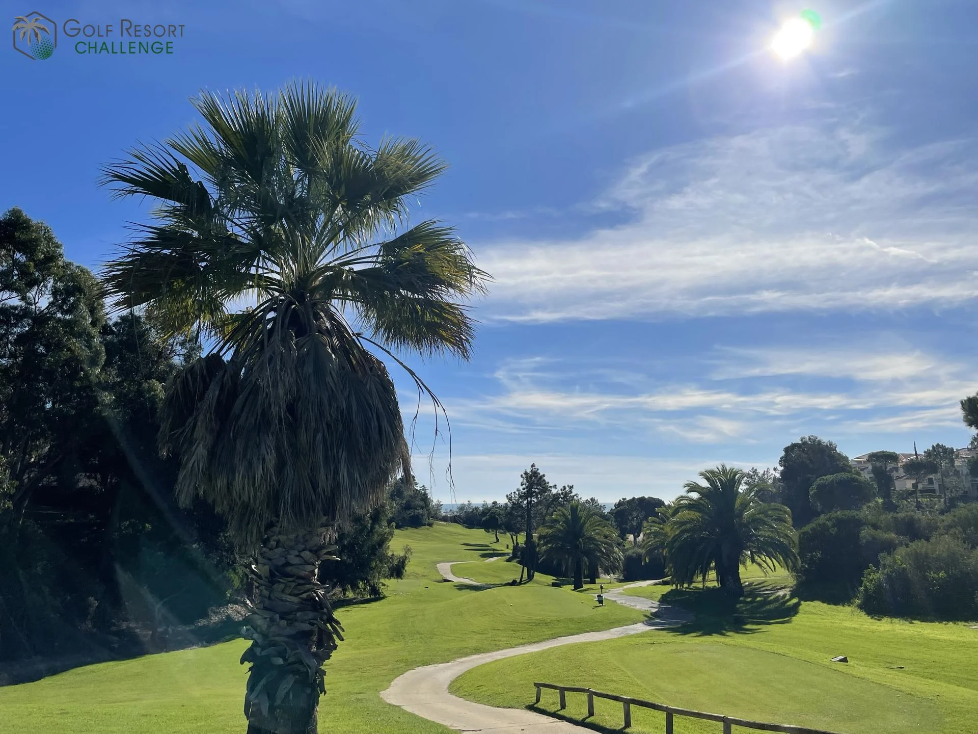 Palmen, Fairway und blauer Himmel, ohne erkennbare Gesichter.