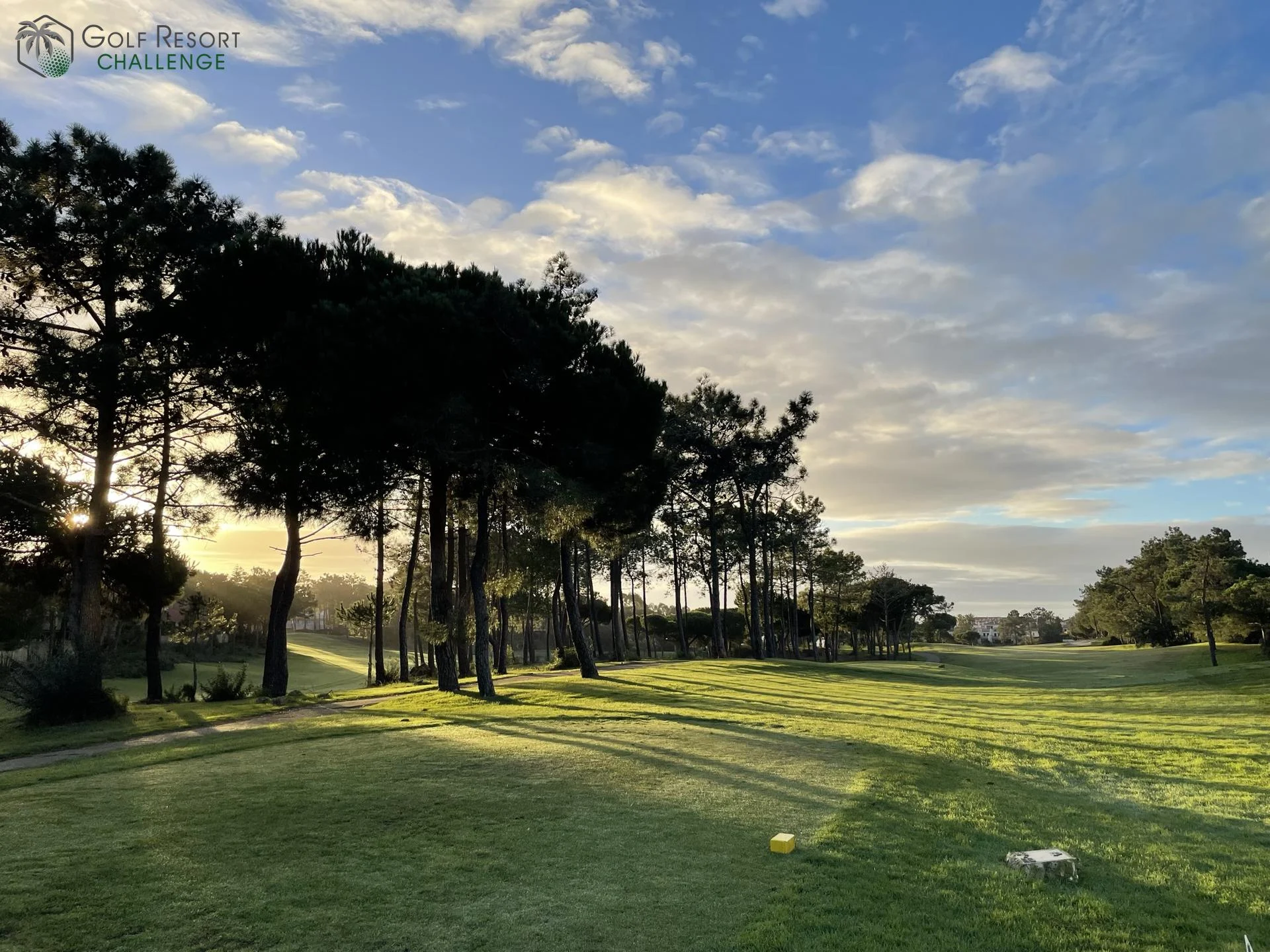 Pinien und Fairway im tiefen Sonnenlicht – Originalaufnahme von Escape the Snow 2023.